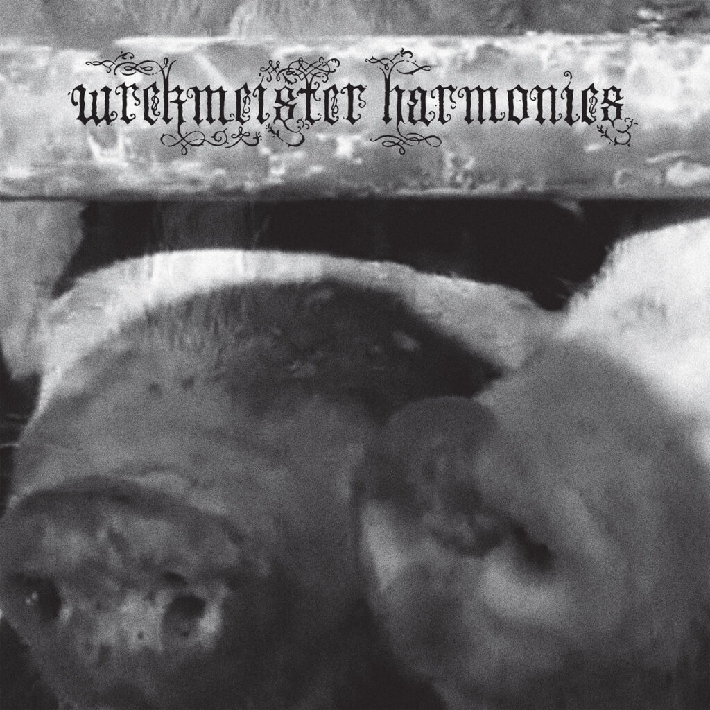 WrekmeisterHarmoni_FlowersintheSpring_Cover