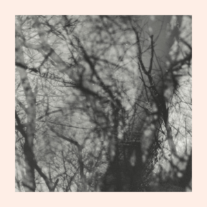 Gewezen Schatten - Grouper / GC190