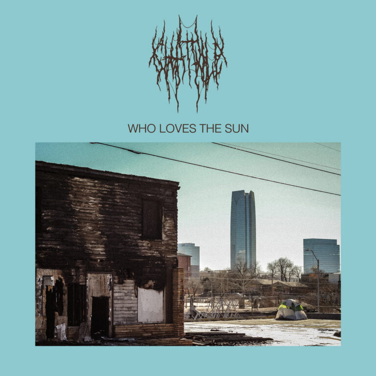 Albumhoes van Who Loves The Sun van Chat Pile
