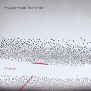Magda Mayas' Filamental - Murmur