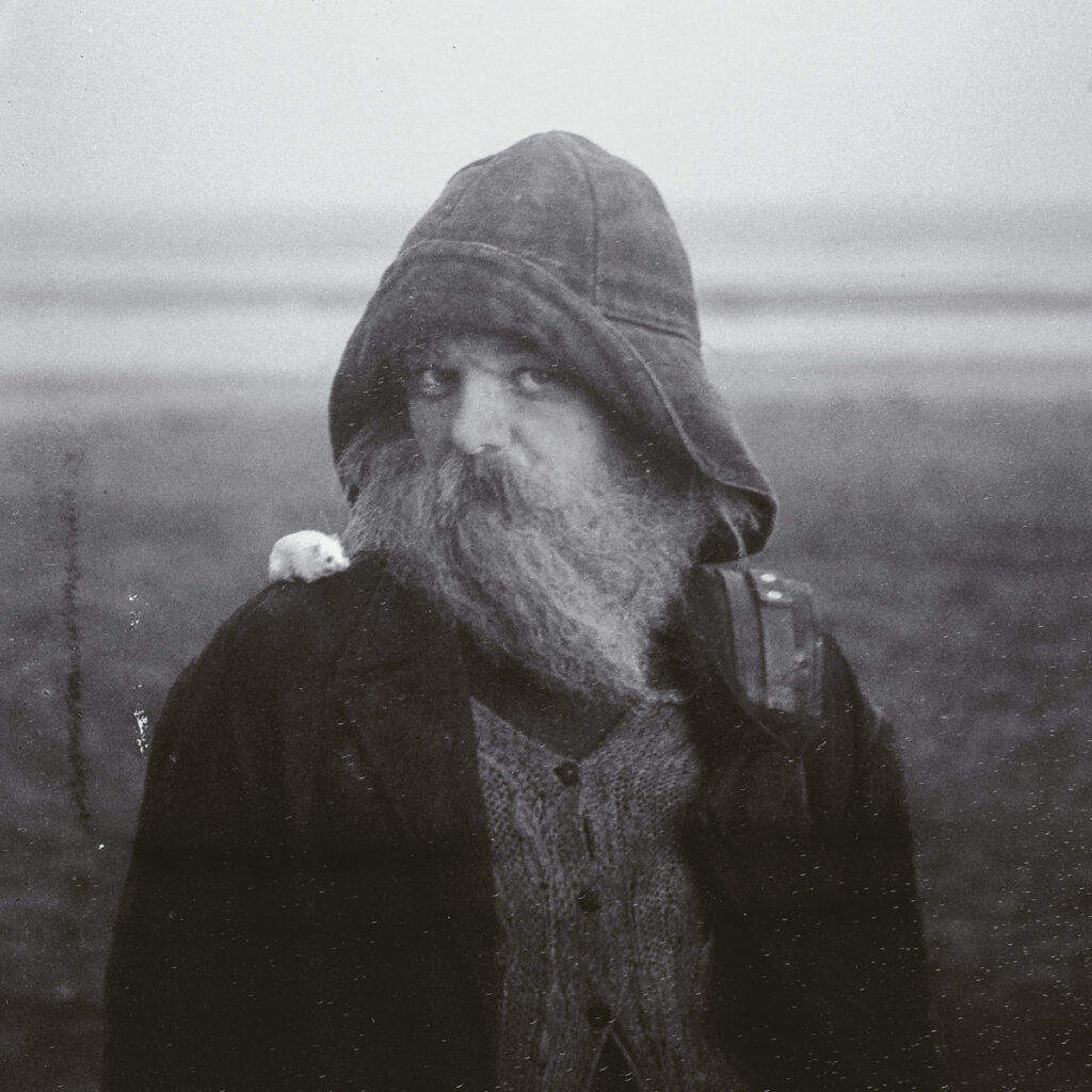 Albumhoes van Role Model Hermit van Mary In The Junkyard