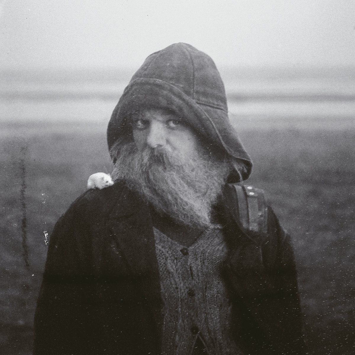 Albumhoes van Role Model Hermit van Mary In The Junkyard